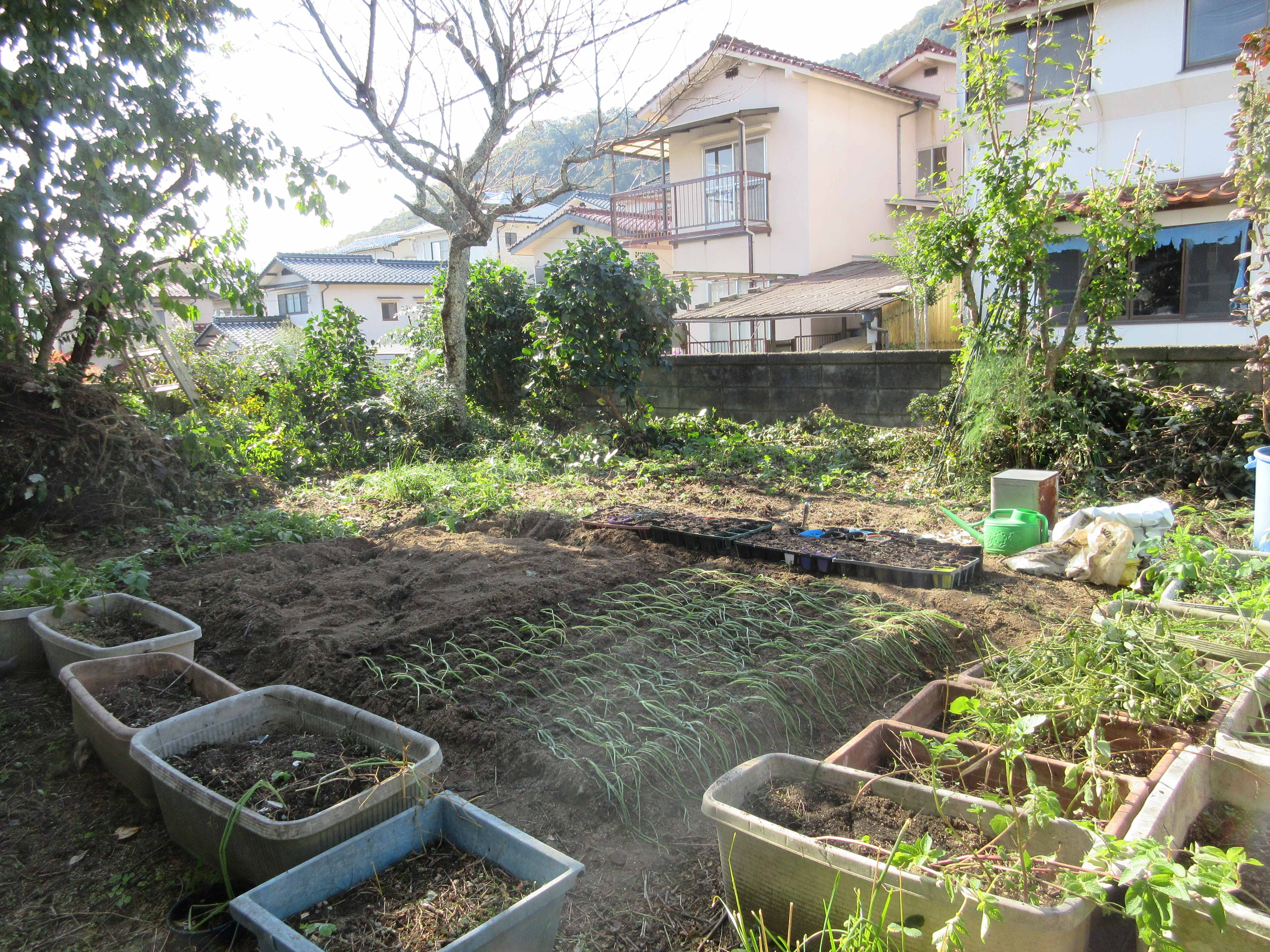 庭:家庭菜園利用可 庭:家庭菜園利用可