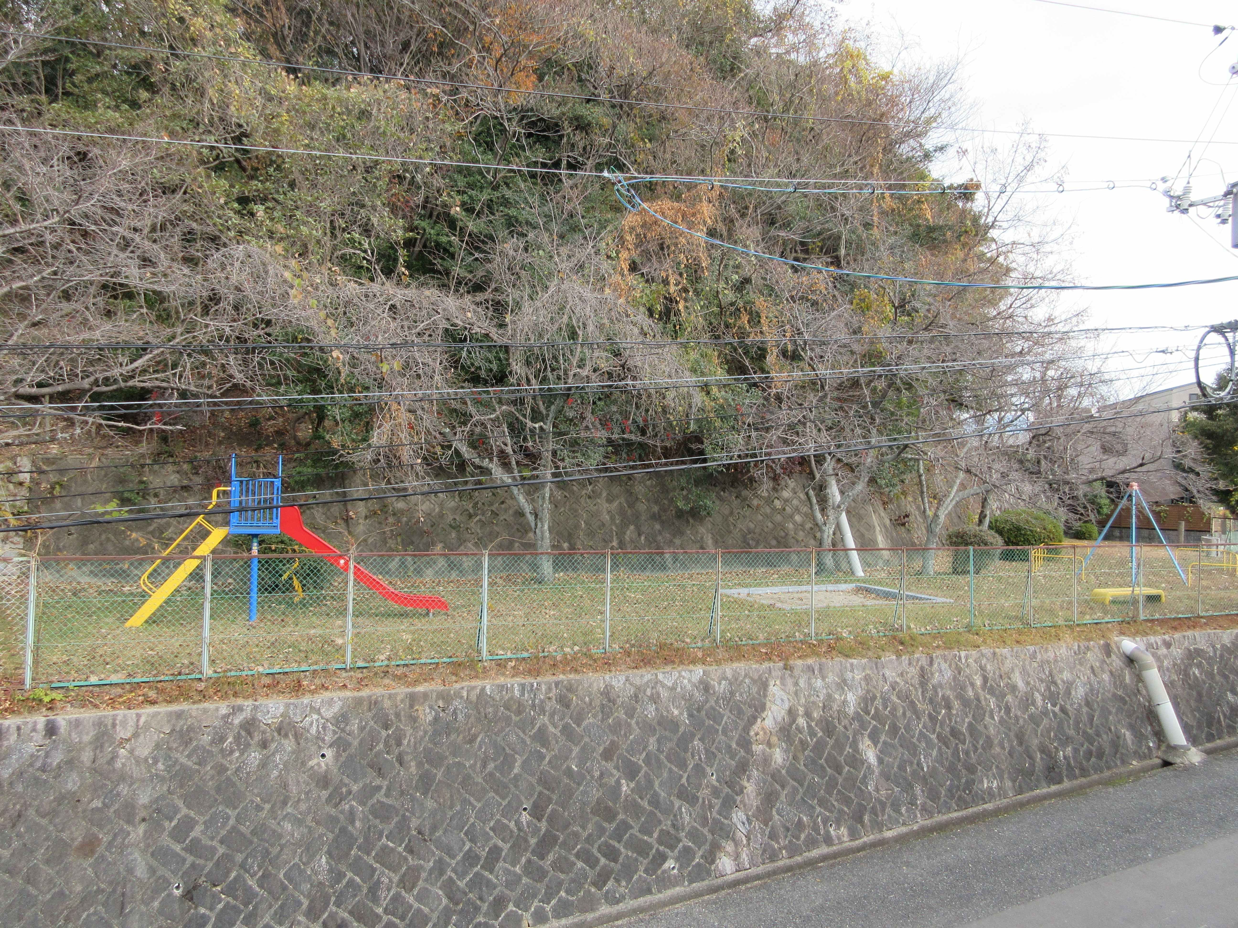 目の前が公園です。(周辺) 目の前が公園です。(周辺)